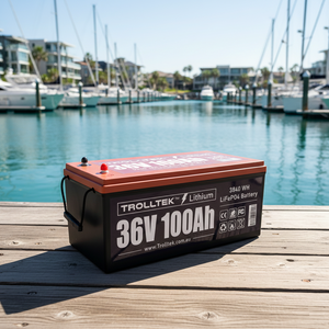 Trolltek™ 36V LiFePO4 Lithium Battery AC Bundle